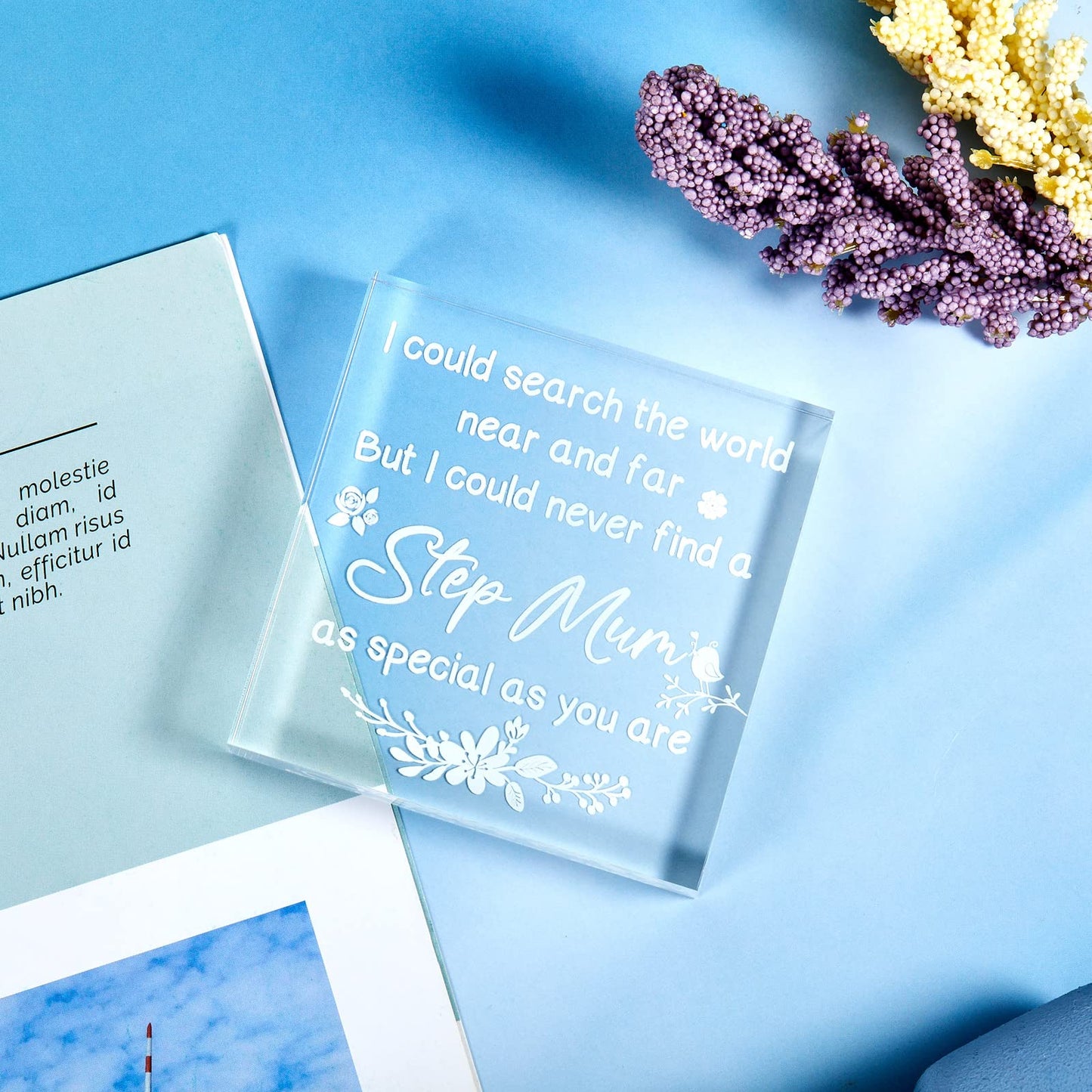Step Mum Gifts Acrylic Block Birthday Gifts for Mum Idea Christmas Presents for Mum Stepmom Birthday Christmas Mother's Day with Black Bag